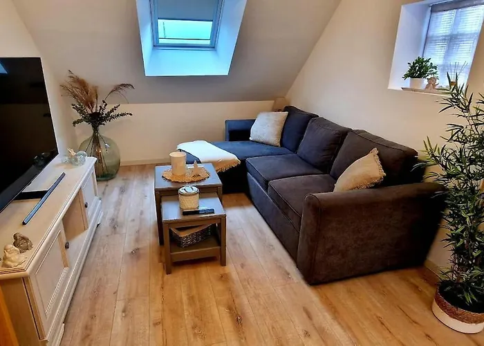 Appartement Charmant Et Spacieux